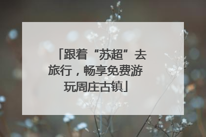 跟着“苏超”去旅行，畅享免费游玩周庄古镇